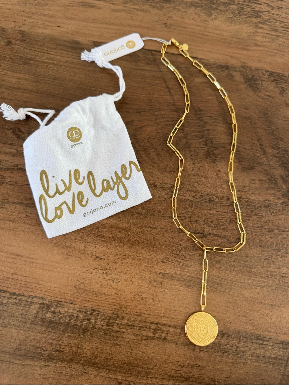 Gorjana Gold Paperclip Chain Coin Medallion Y Necklace Lariat NWT Dust Bag